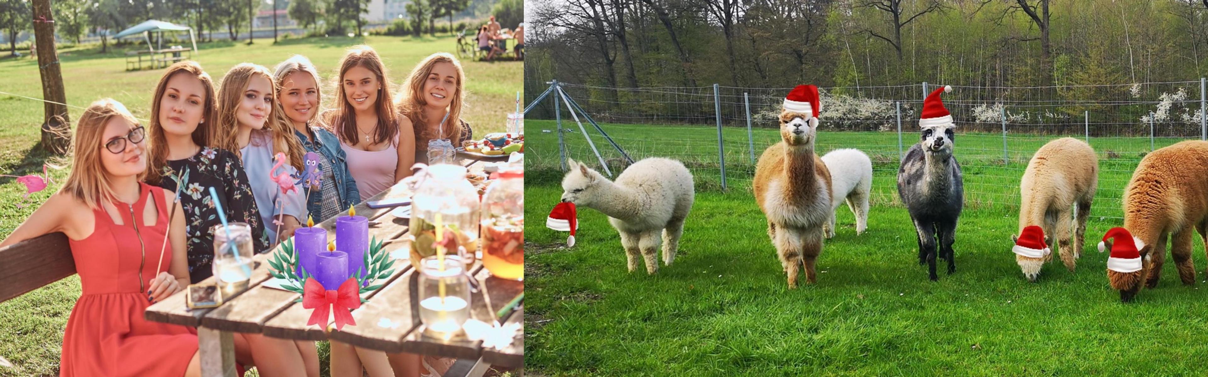 Publikation10__KOPIE__COPY__31