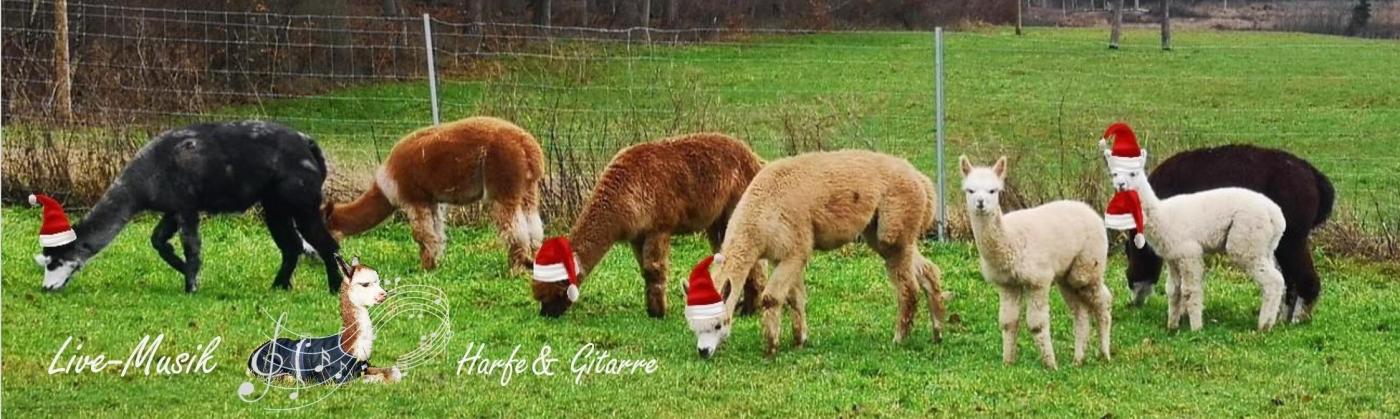 Titelbild-Weihnachtsmuetzen_mit-Rose-Noten-Text2__37